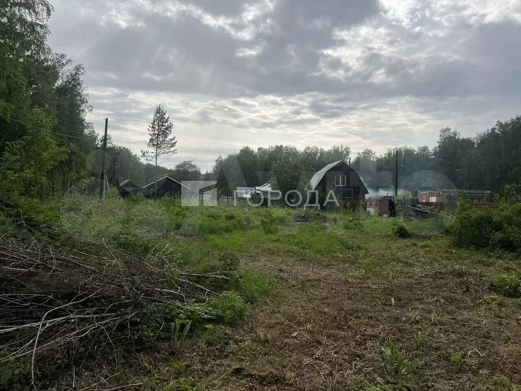 Участок 7,7 сот. (СНТ, ДНП) - Фото 1