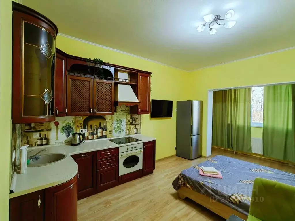 Студия Московская область, Чехов Русская ул., 30А (32.0 м) - Фото 2