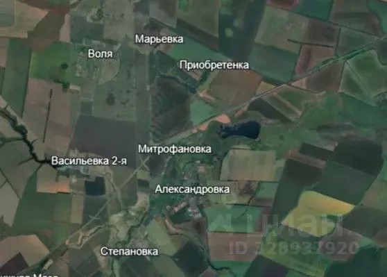 Участок в Воронежская область, Верхнехавский район, Александровское ... - Фото 2