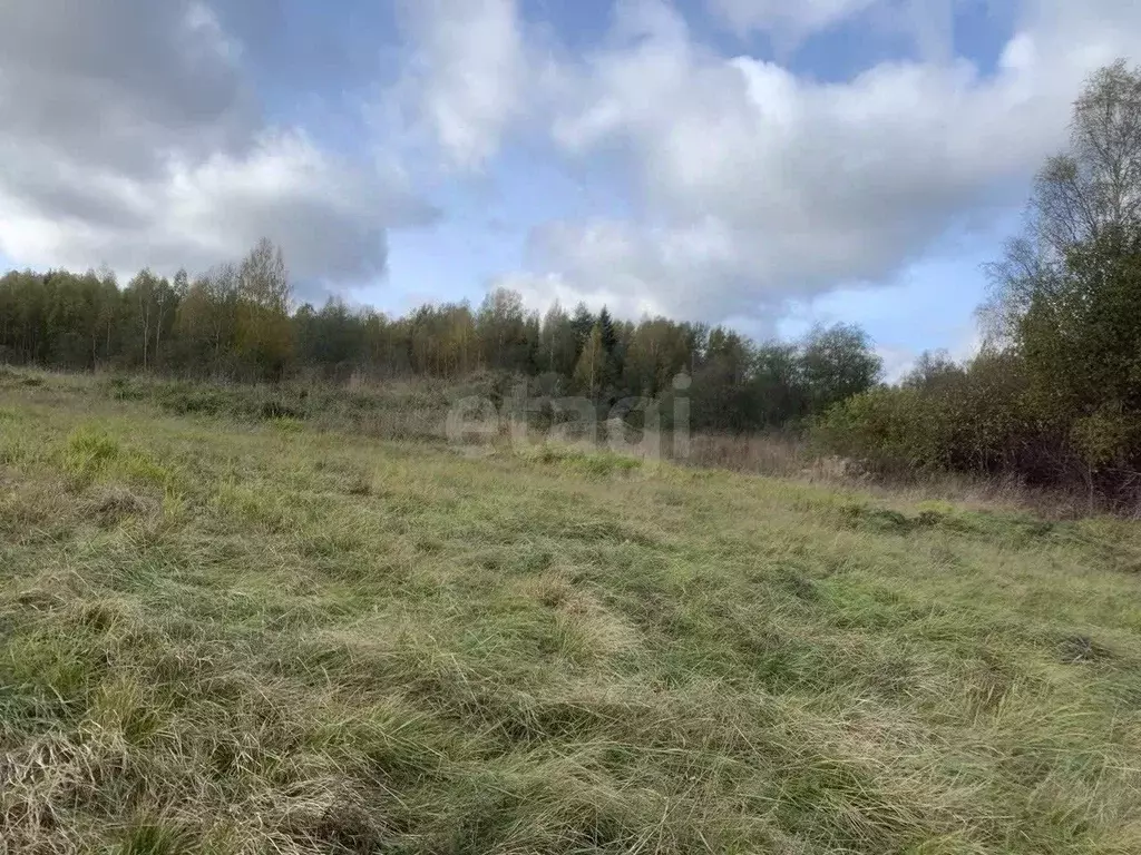 Участок в Ленинградская область, Выборгский район, Полянское с/пос, ... - Фото 2