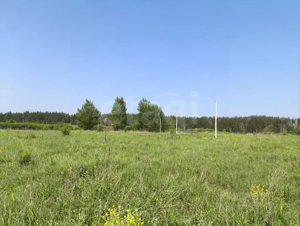 Участок в Татарстан, Елабужский район, Поспеловское с/пос, пос. ... - Фото 1