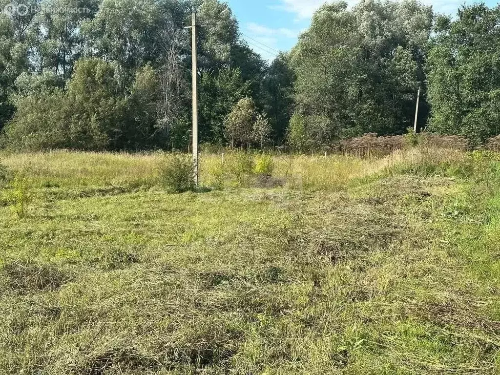 Участок в Пермский край, Чернушинский муниципальный округ, село Брод ... - Фото 1