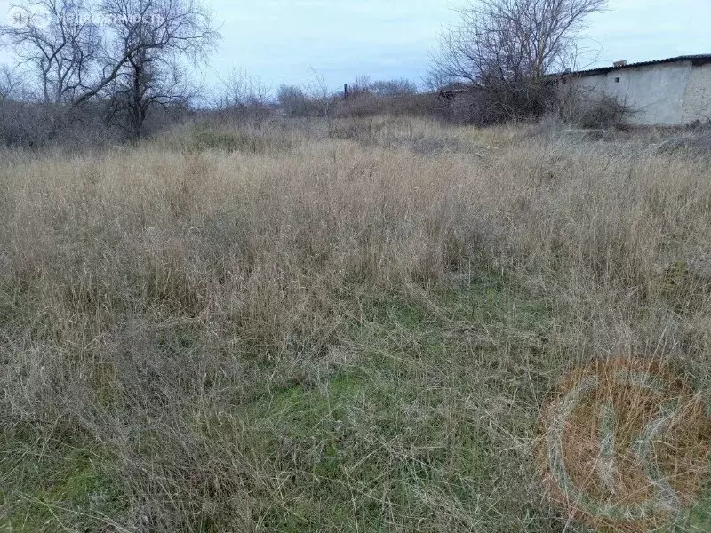 Участок в Саки, Крымская улица (8.95 м) - Фото 2