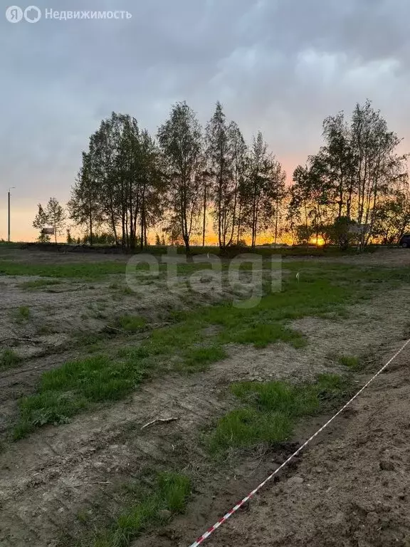 Участок в Ухта, Ветлосяновская улица (8 м) - Фото 2