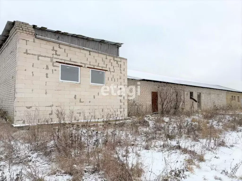 Помещение свободного назначения в Владимирская область, Петушинский ... - Фото 0