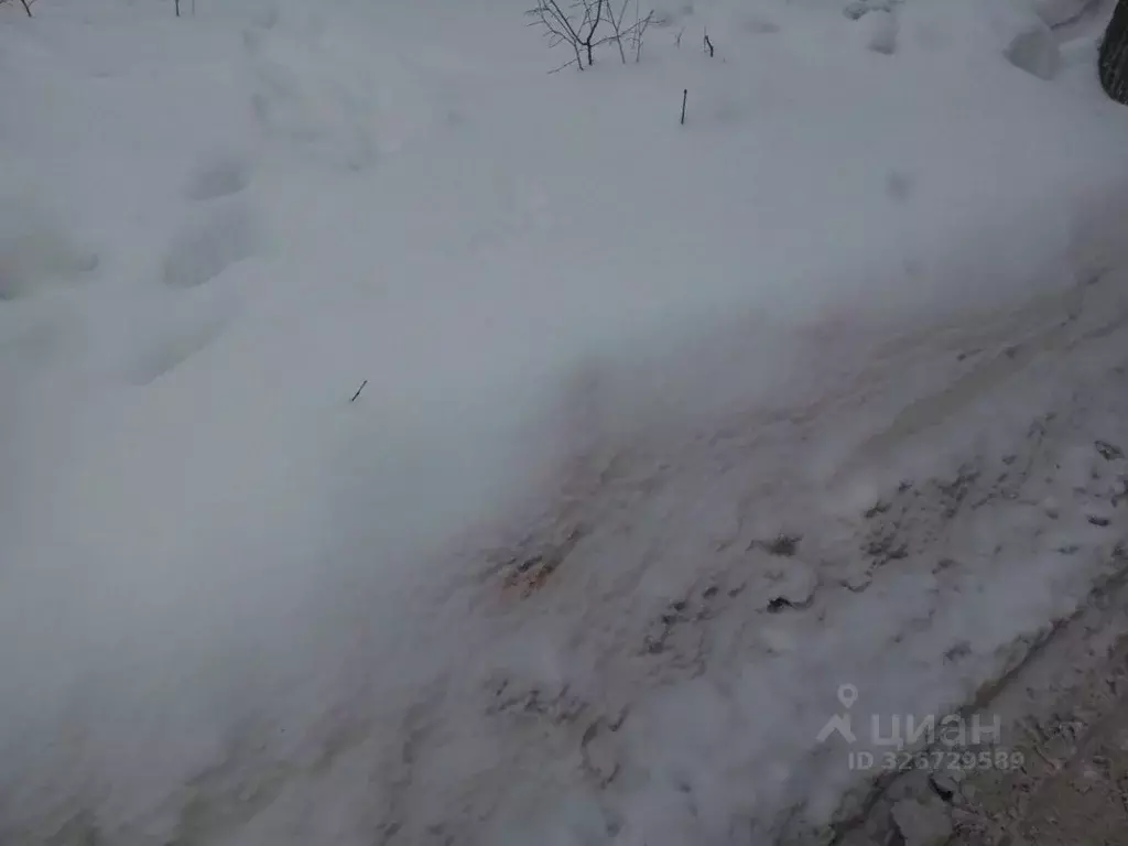 Участок в Нижегородская область, Дальнеконстантиновский муниципальный ... - Фото 2