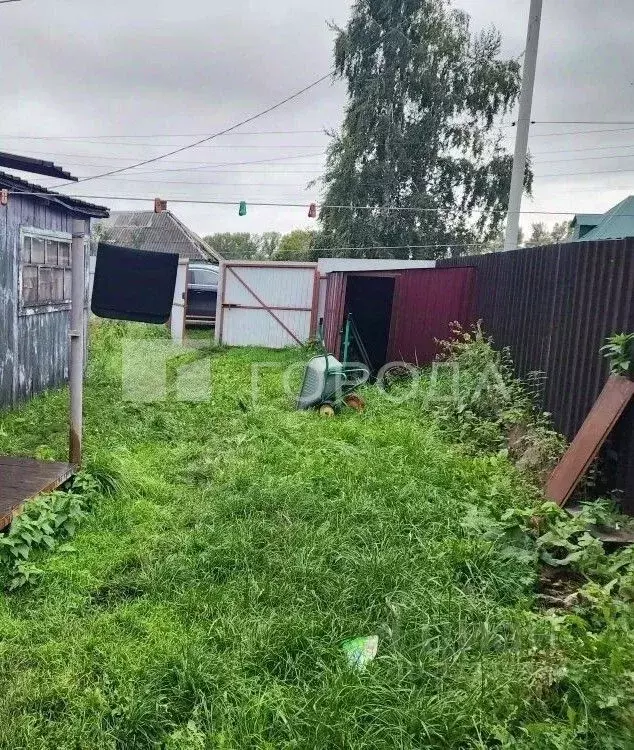 Дом в Кемеровская область, Прокопьевск Школьная ул. (39 м) - Фото 2
