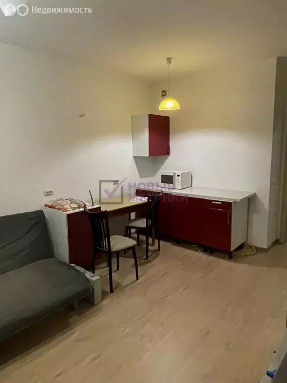 Квартира-студия: Санкт-Петербург, Комендантский проспект, 67 (24 м) - Фото 2