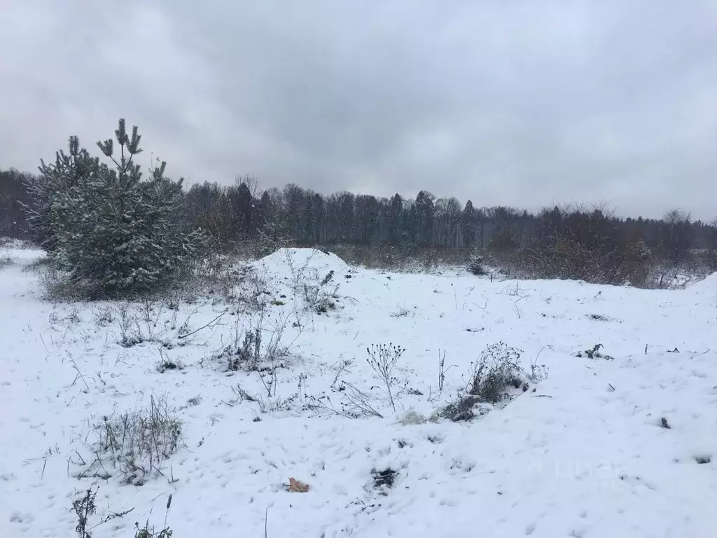 Участок в Московская область, Пушкинский городской округ, д. Цернское  ... - Фото 1