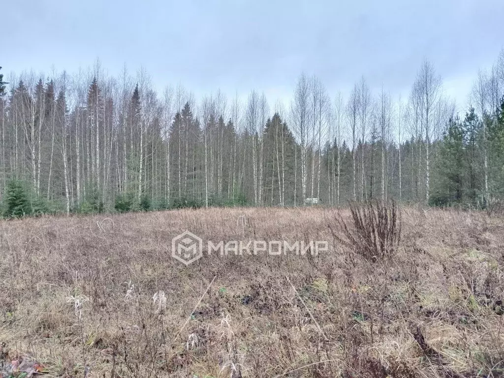 Участок в Кировская область, Кирово-Чепецкий район, Пасеговское с/пос, ... - Фото 2