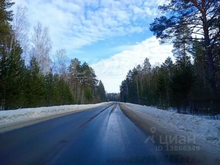 Участок в Тюменская область, Ялуторовский район, Березка садоводческое ... - Фото 0