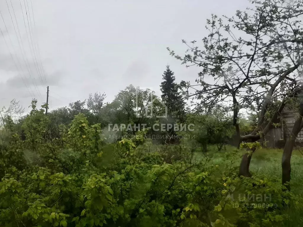 Участок в Тамбовская область, Тамбовский муниципальный округ, с. ... - Фото 1