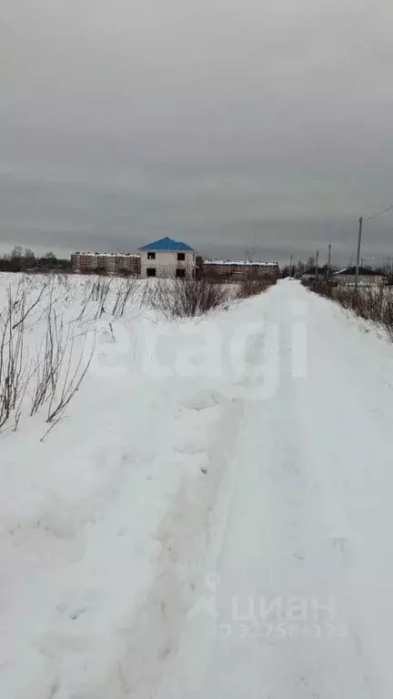 Участок в Ярославская область, Ярославский муниципальный округ, пос. ... - Фото 1
