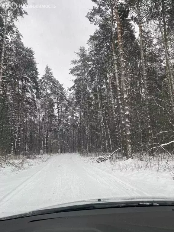Участок в Богородский городской округ (9.01 м) - Фото 1