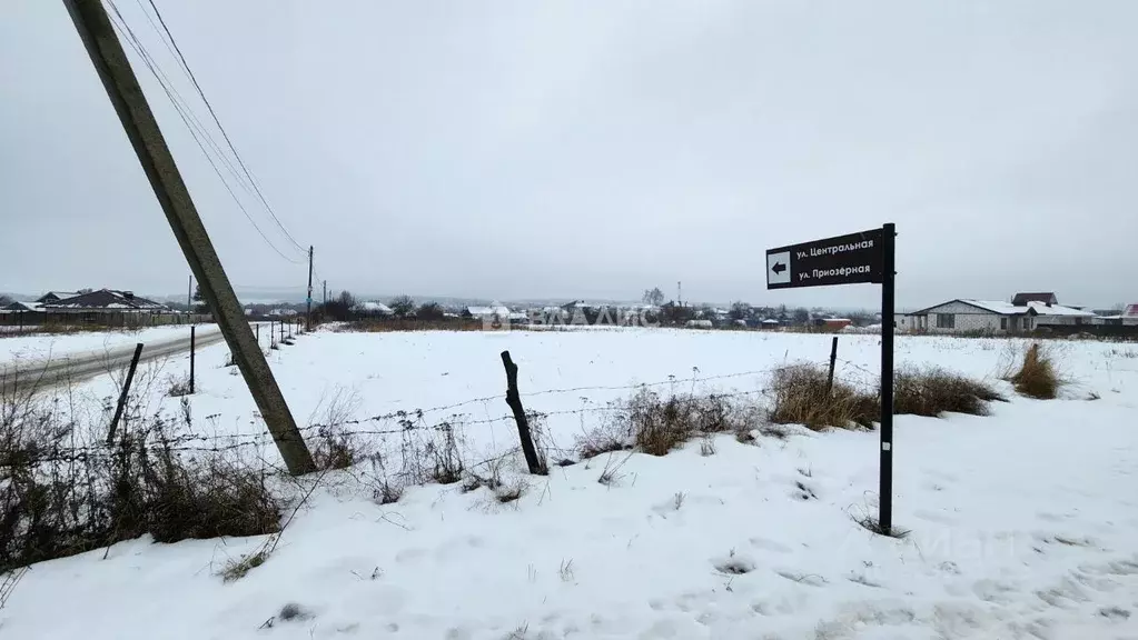 Участок в Воронежская область, Рамонский район, Новоживотинновское ... - Фото 1