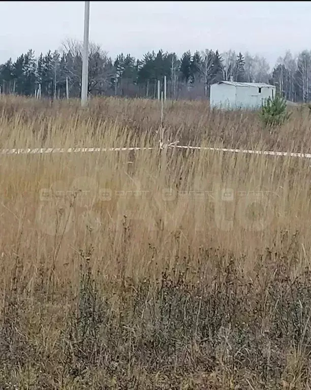 Участок в Татарстан, Высокогорский район, Чернышевское с/пос, с. ... - Фото 2