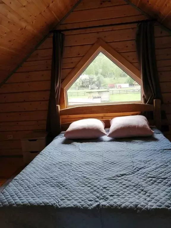 Дом в Алтай, Чемальский район, с. Анос ул. Тополиная, 21 (50 м) - Фото 1