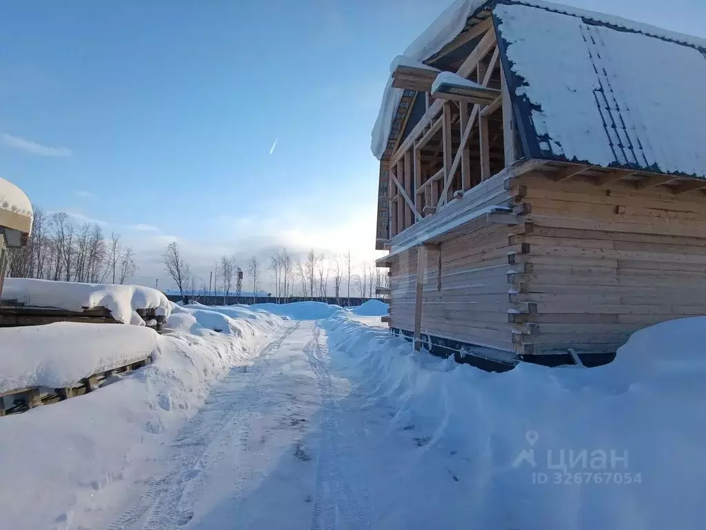 Участок в Архангельская область, Архангельск Лето коллектив ... - Фото 1