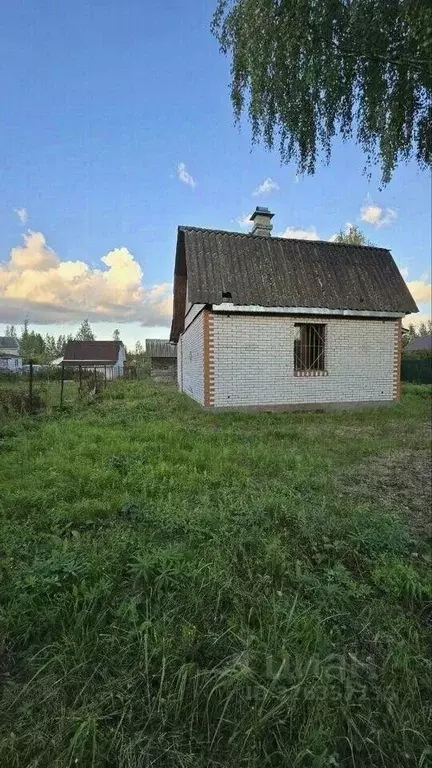 Участок в Санкт-Петербург, Санкт-Петербург, Павловск Павловское-1 СНТ, ... - Фото 1