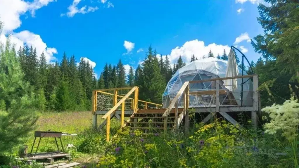 Дом в Свердловская область, Нижний Тагил городской округ, пос. Уралец ... - Фото 0