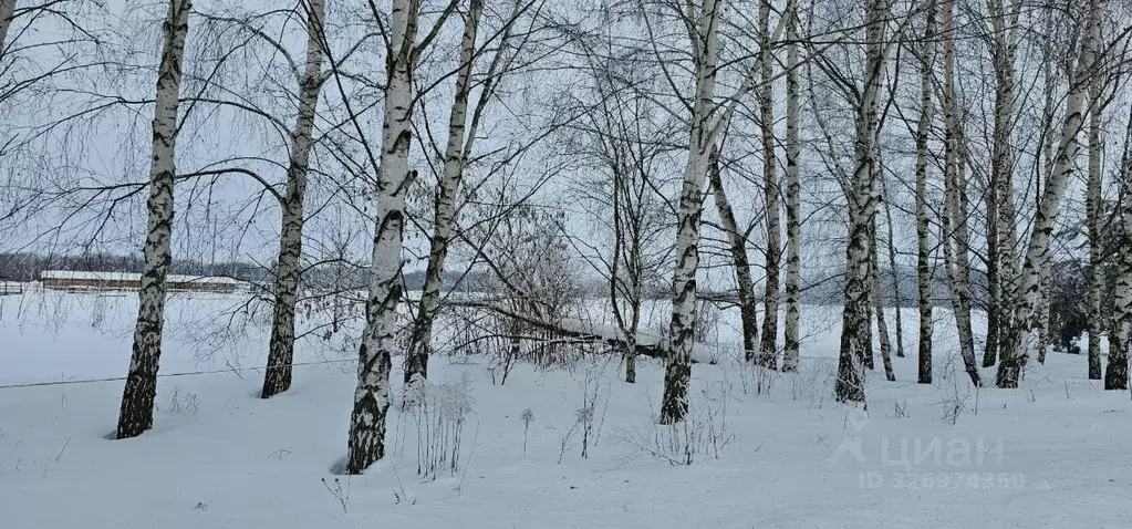 Участок в Московская область, Луховицы муниципальный округ, пос. ... - Фото 2