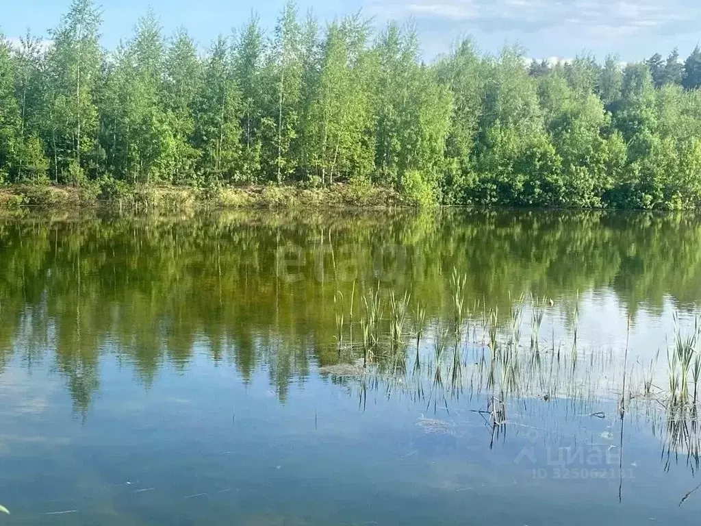 Участок в Московская область, Орехово-Зуево Центральный бул. (5025.0 ... - Фото 0