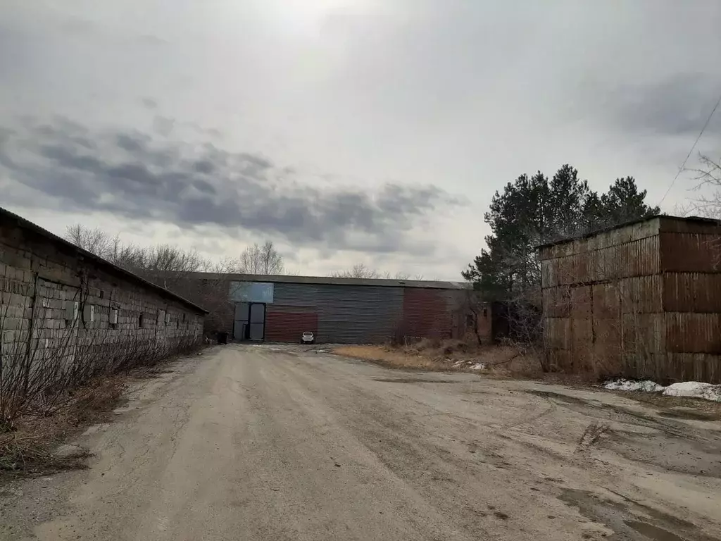 Помещение свободного назначения в Свердловская область, Сухой Лог ... - Фото 2