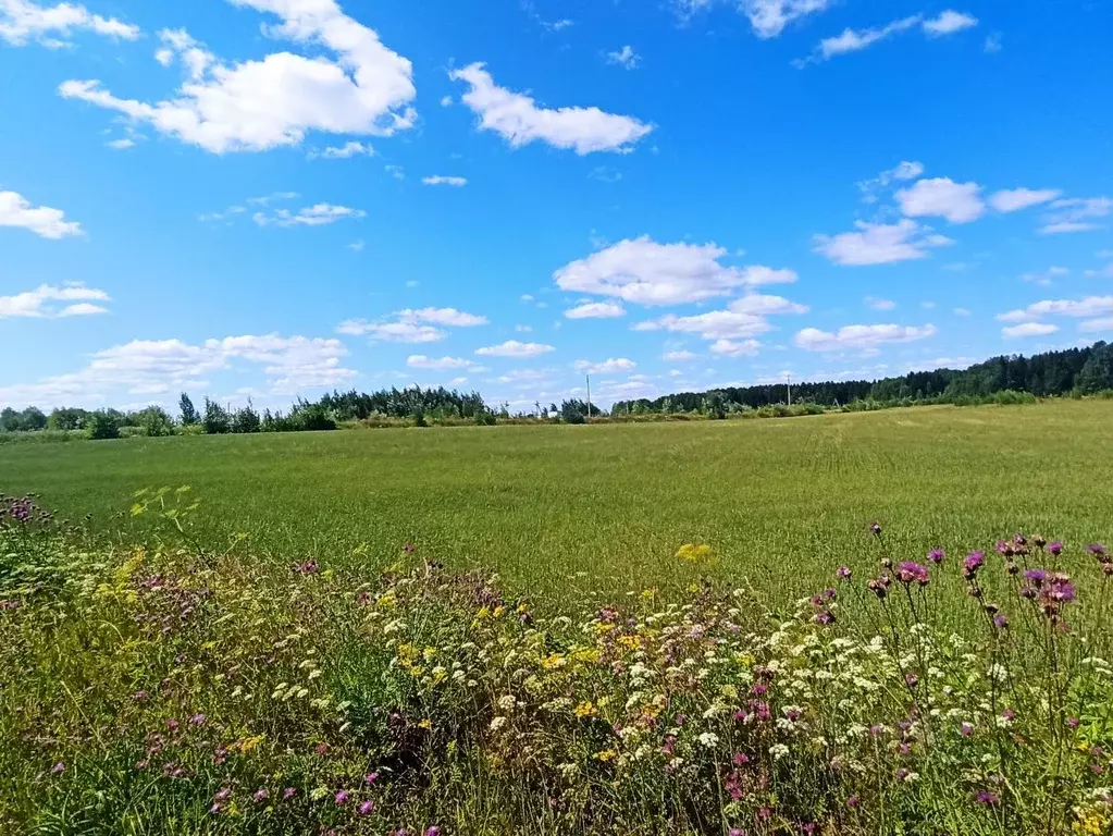 Участок в Кировская область, Слободской район, Ленинское с/пос, д. ... - Фото 1