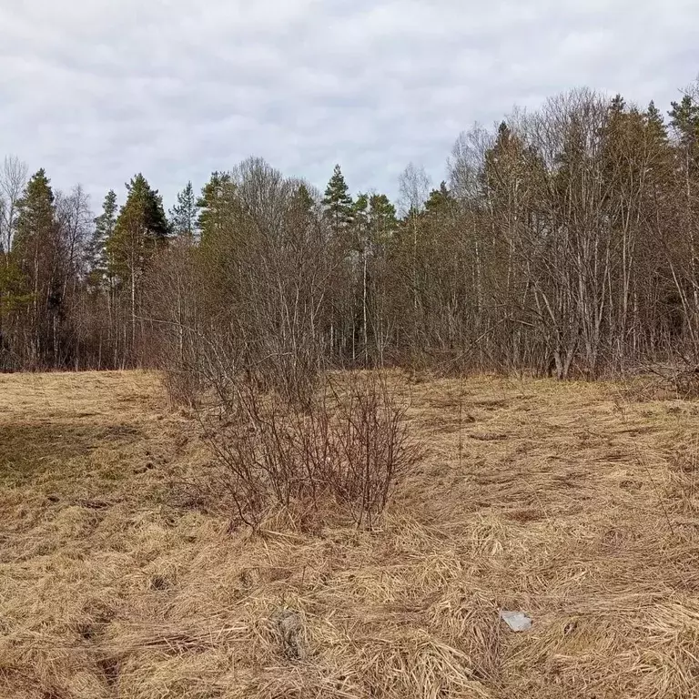 Участок в Ленинградская область, Приозерский район, пос. Севастьяново ... - Фото 2