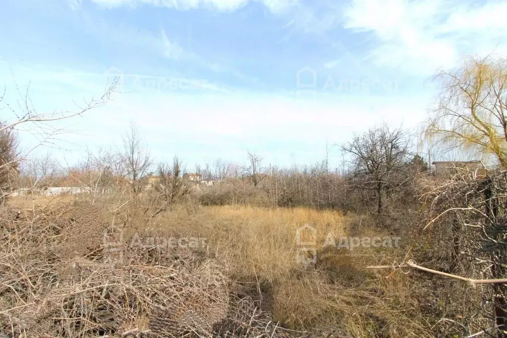 Участок в Волгоградская область, Городищенский район, Ерзовское ... - Фото 1