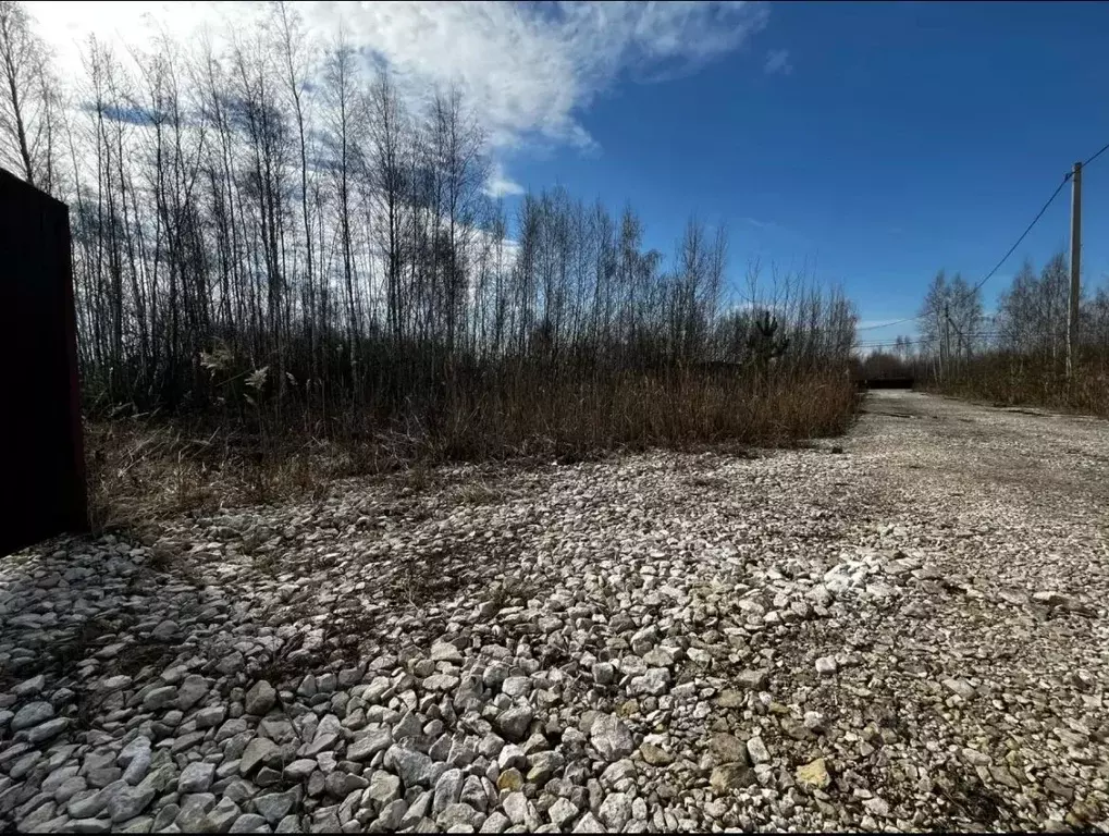 Участок в Московская область, Шатура ул. Луговая (15.0 сот.) - Фото 2
