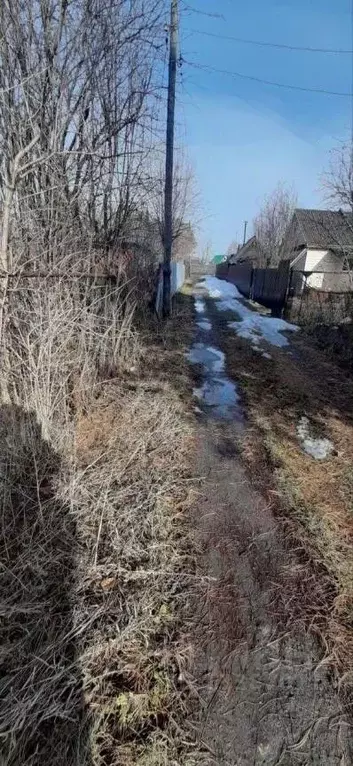 Участок в Новосибирская область, Новосибирск Буревестник садовое ... - Фото 1