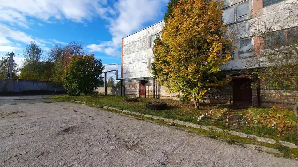 Помещение свободного назначения в Псковская область, Остров ул. ... - Фото 1