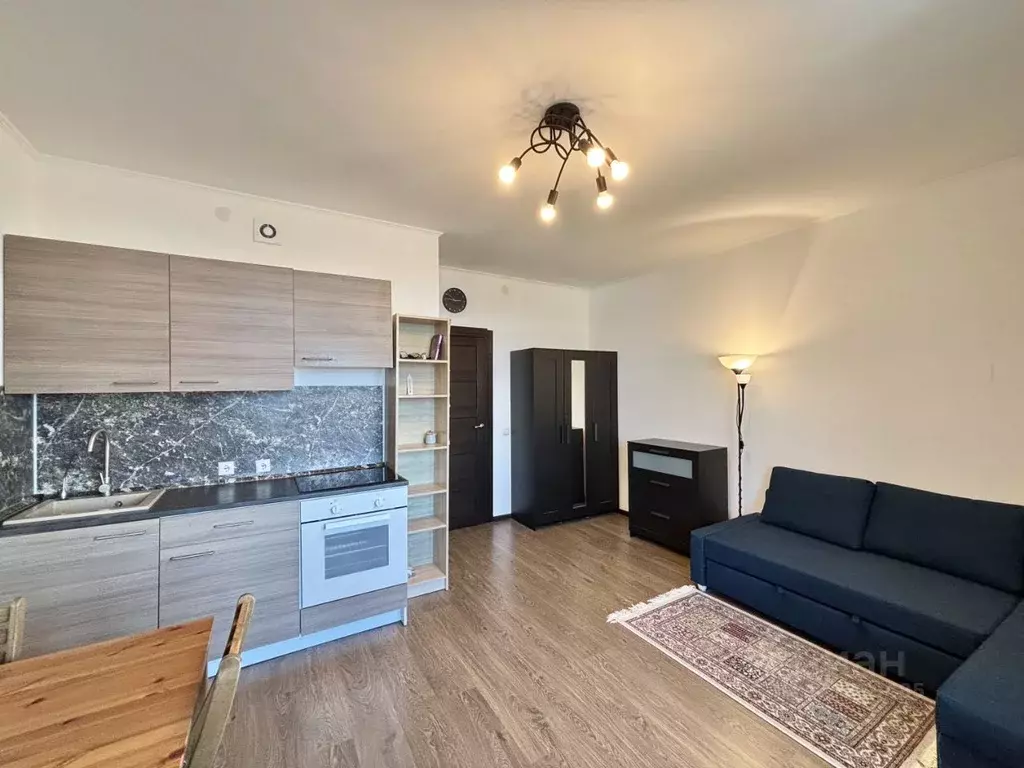 Студия Санкт-Петербург аллея Арцеуловская, 23к1 (25.3 м) - Фото 1