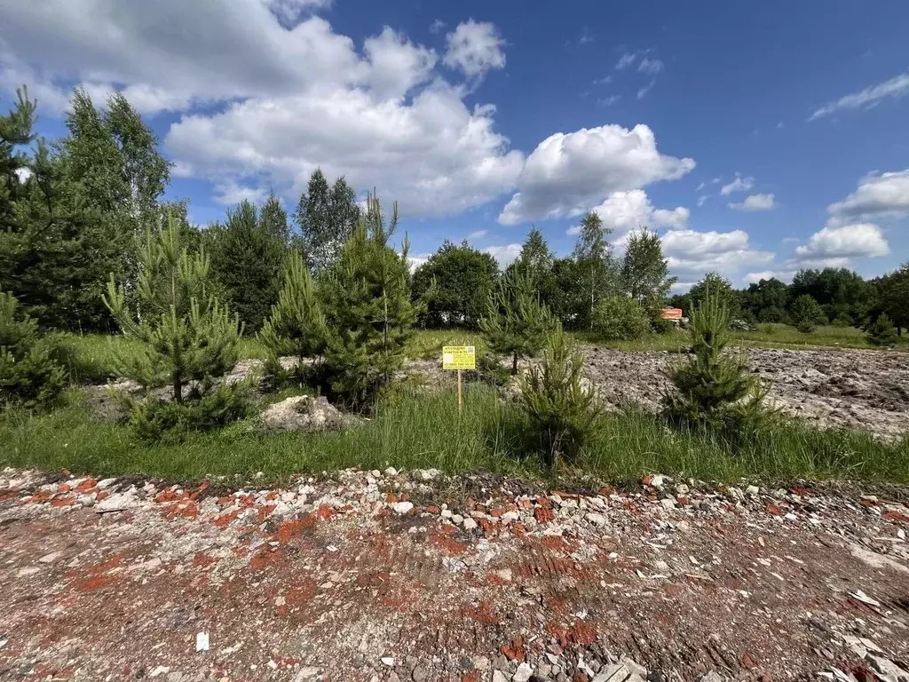 Участок в Московская область, Богородский городской округ, Следово кп ... - Фото 2