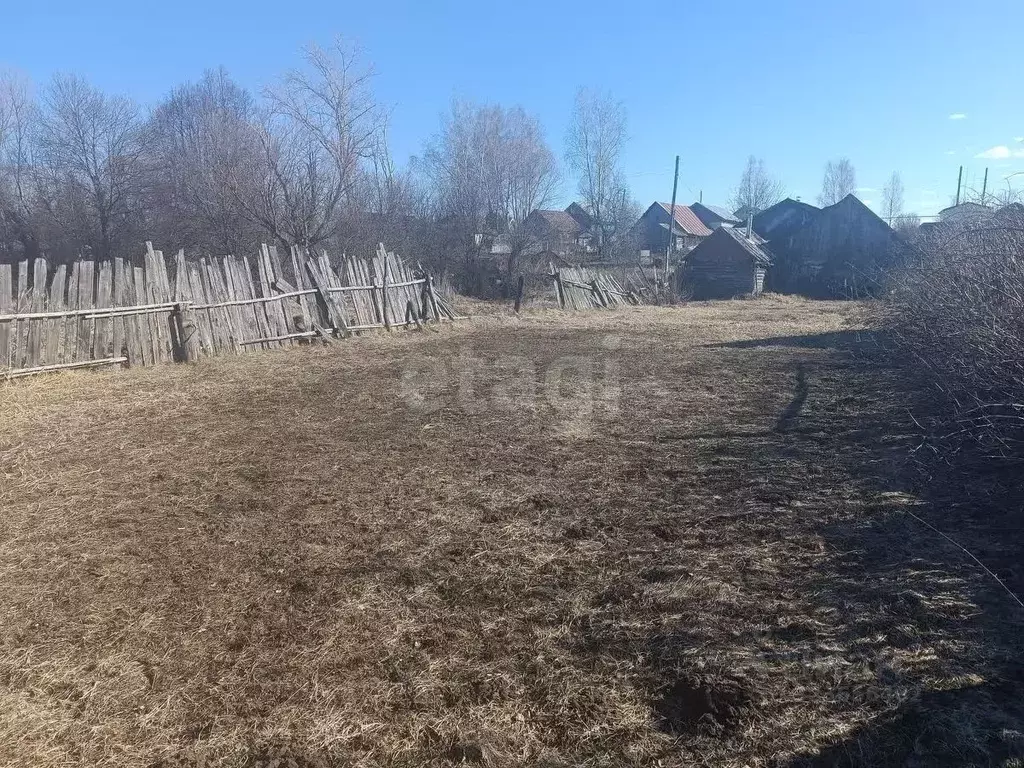 Участок в Нижегородская область, Арзамас городской округ, с. Криуша ... - Фото 1