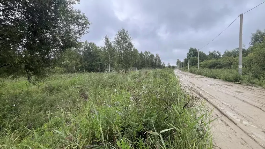 Участок в Тюменская область, Нижнетавдинский район, Лесная сказка СНТ  ... - Фото 0