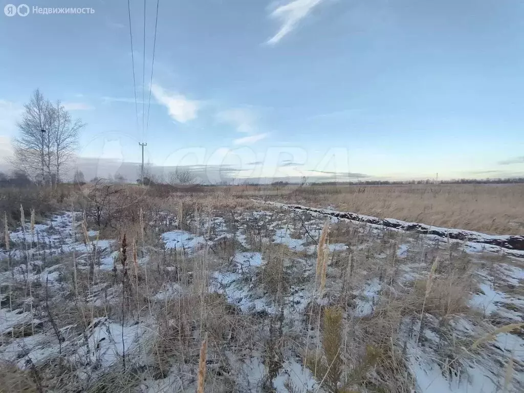 Участок в Тюмень, ТОО Ембаевское (7.3 м) - Фото 2