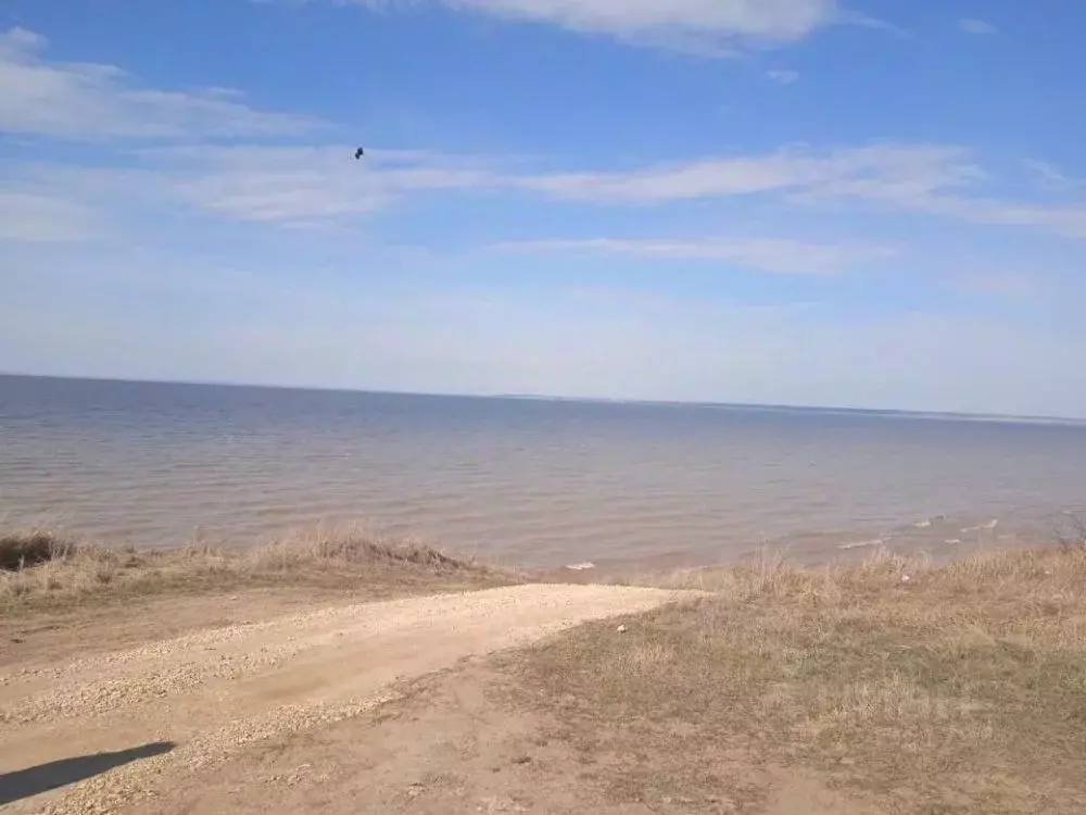 Участок в Татарстан, Лаишевский район, Малоелгинское с/пос, с. Шуран ... - Фото 1