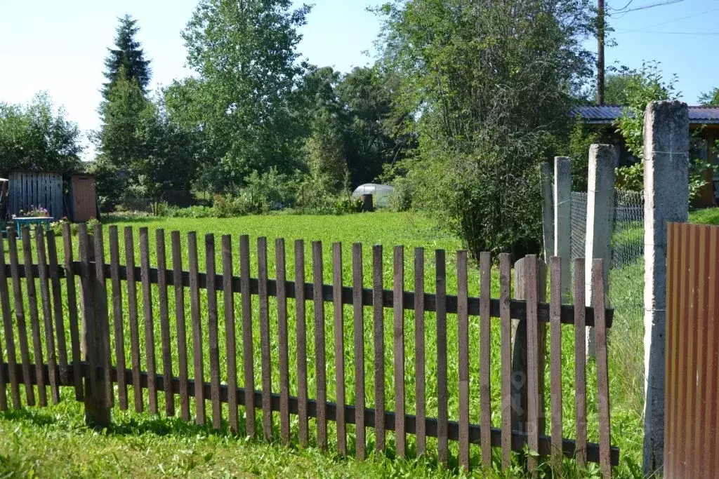 Дом в Тверская область, Осташковский городской округ, д. Свапуще  (30 ... - Фото 1