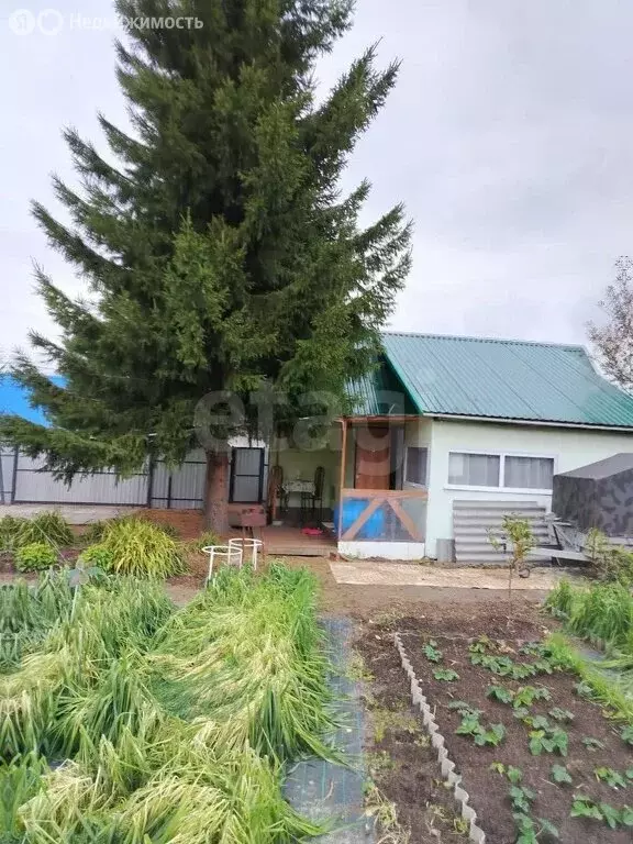 Дом в Тюменская область, Тобольский муниципальный округ, ... - Фото 2