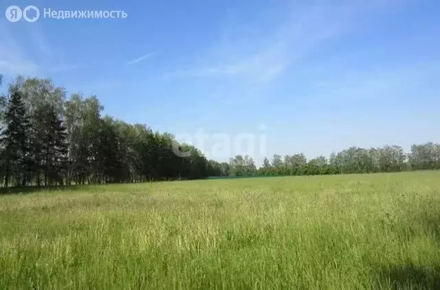 Участок в Бийский район, посёлок Амурский, Садовая улица (10 м) - Фото 2