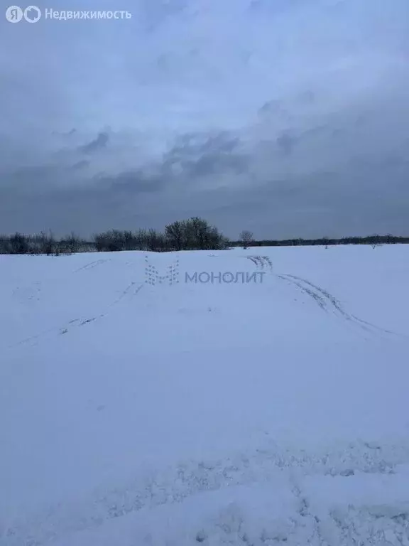 Участок в Нижегородская область, Богородский муниципальный округ, село ... - Фото 0