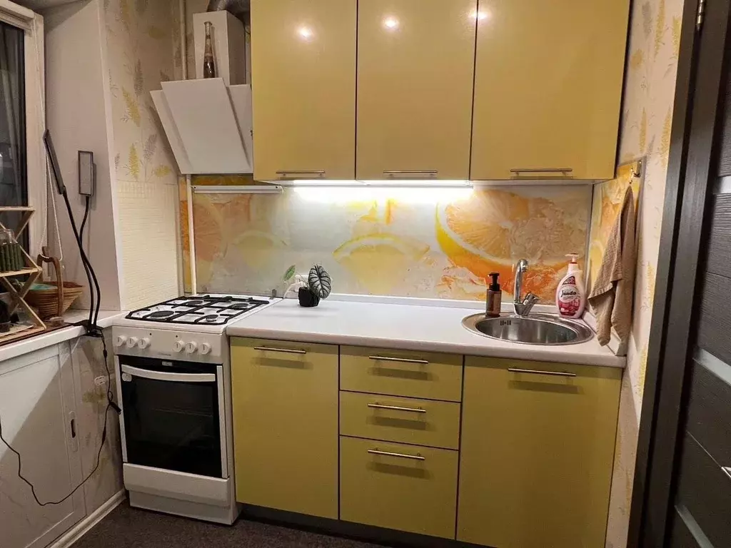 1-к кв. Московская область, Черноголовка ул. Первая, 10 (29.0 м) - Фото 1