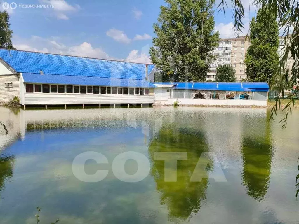 Помещение свободного назначения (3.48 м) - Фото 1