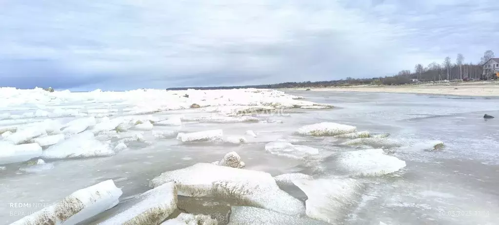 Участок в Ярославская область, Рыбинский муниципальный округ, с. ... - Фото 2