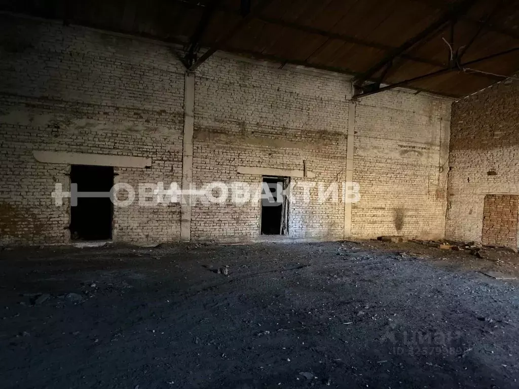 Производственное помещение в Новосибирская область, Коченево рп ул. ... - Фото 1