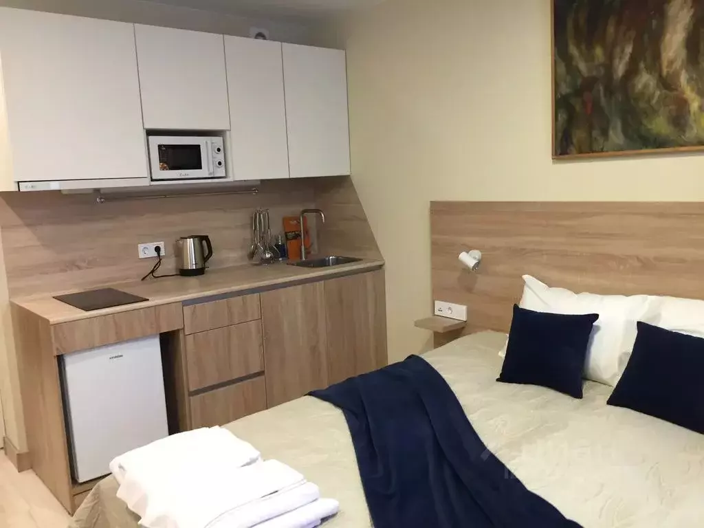 1-к кв. Санкт-Петербург ул. Матроса Железняка, 2 (18.0 м) - Фото 1