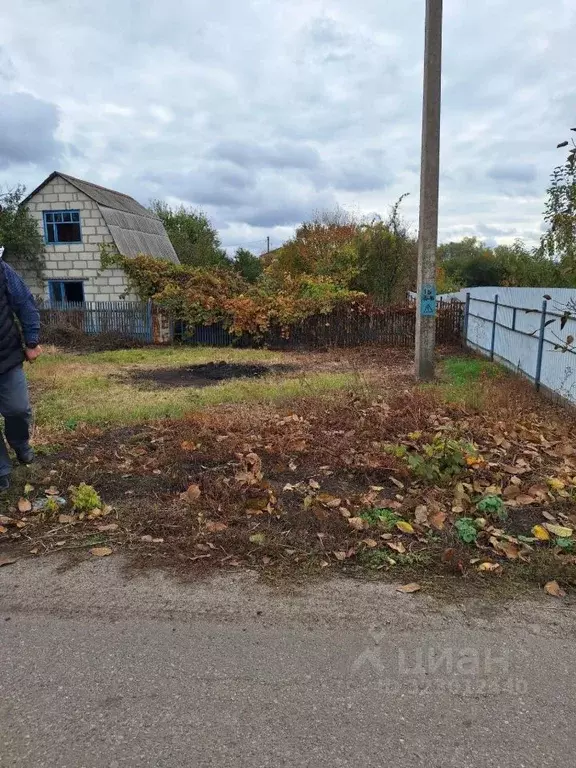 Дом в Белгородская область, Белгородский район, Поселок Разумное ... - Фото 2