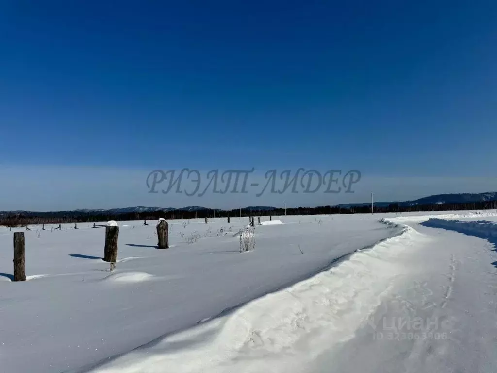 Участок в Алтай, Чойский район, Ыныргинское с/пос, с. Красносельск ул. ... - Фото 1